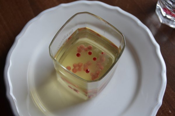 Gyümölcskaviár készítése házilag - molekuláris gasztronómia otthon