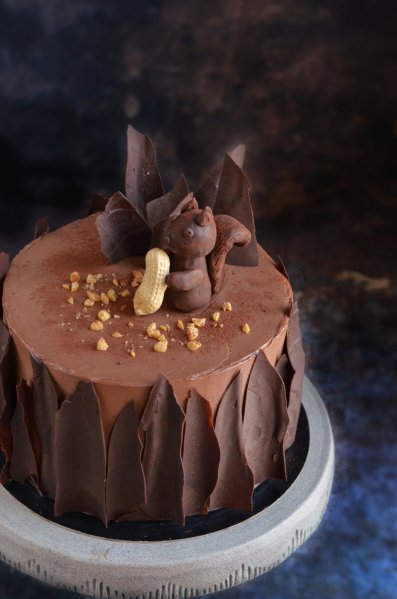 Snickers torta házilag - sós karamelles mogyorós csokitorta recept fakéreg hatású csokilapokkal - mókus torta