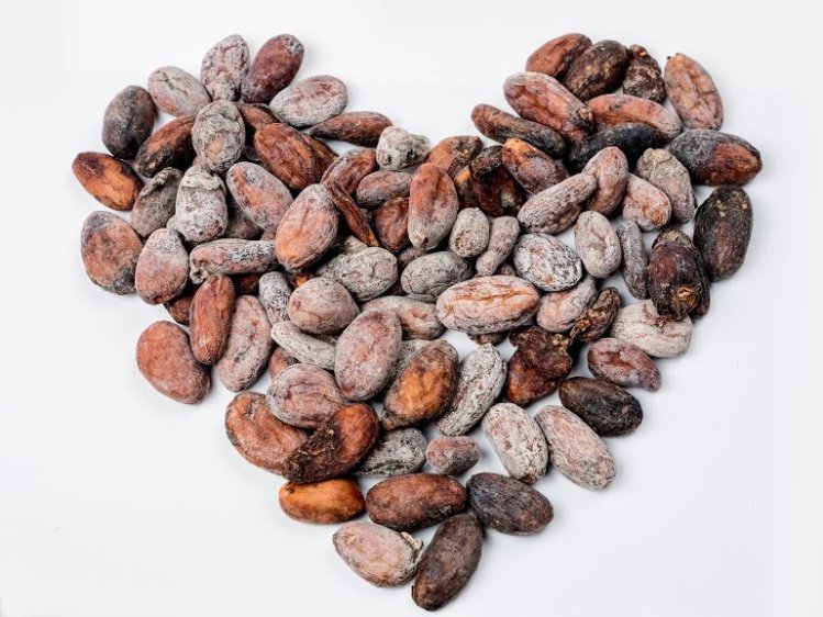 Chocofacture csokoládéműhely interjú - Vasmatics József Marci cukrászmester