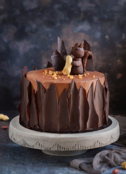 Snickers torta házilag - sós karamelles mogyorós csokitorta recept fakéreg hatású csokilapokkal - mókus torta