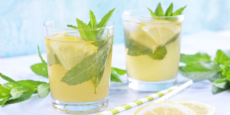 bodzás mojito recept házilag