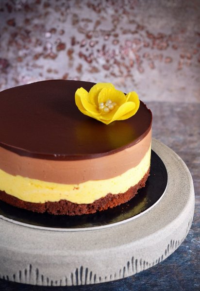 Csokis mangó mousse torta recept csoki virággal