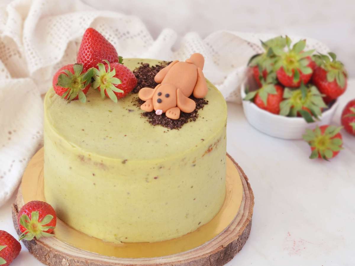 Epres pisztáciatorta – kötelezően&nbsp;kutyával