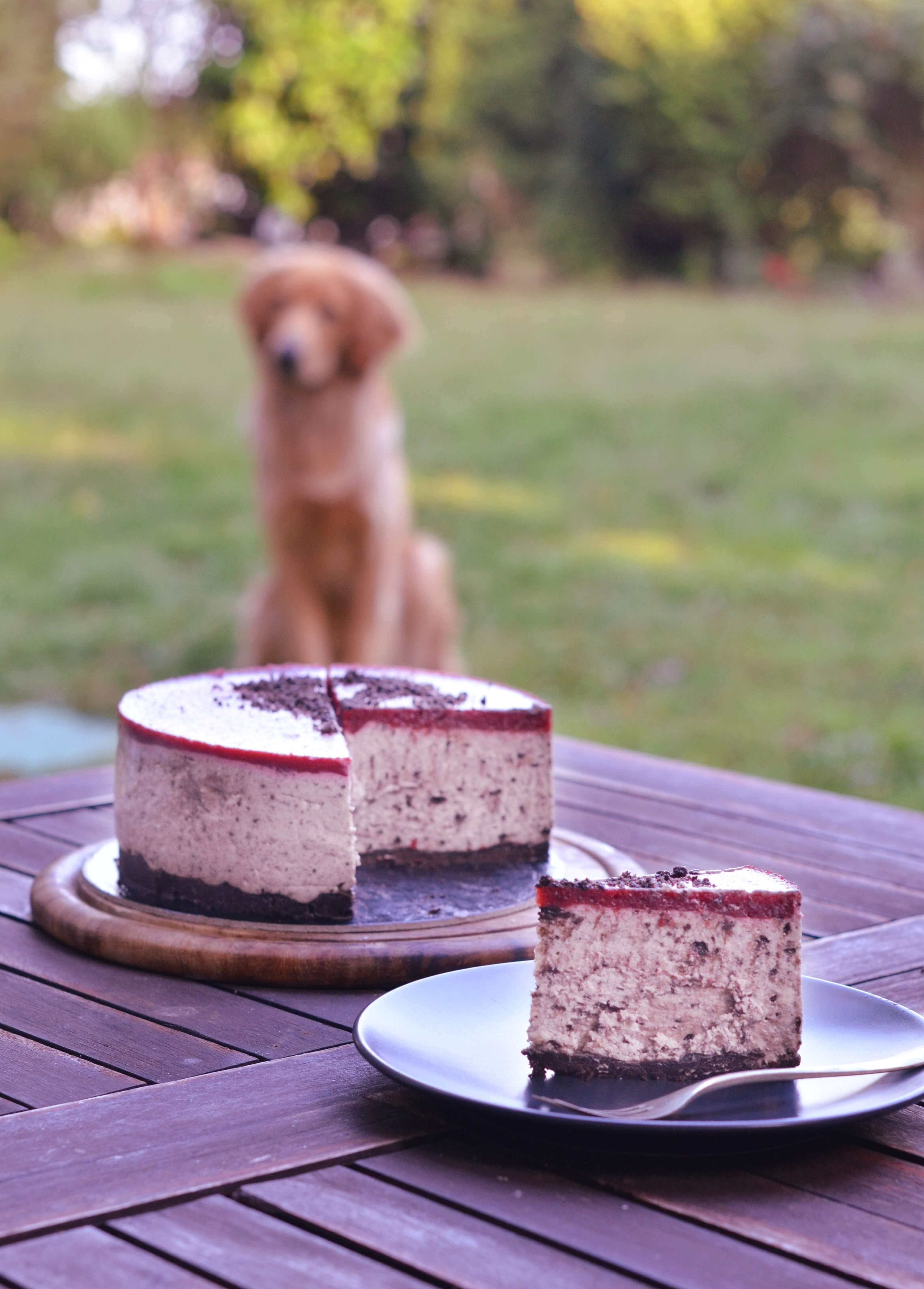 meggyes-oreos sajttorta recept sütés nélkül